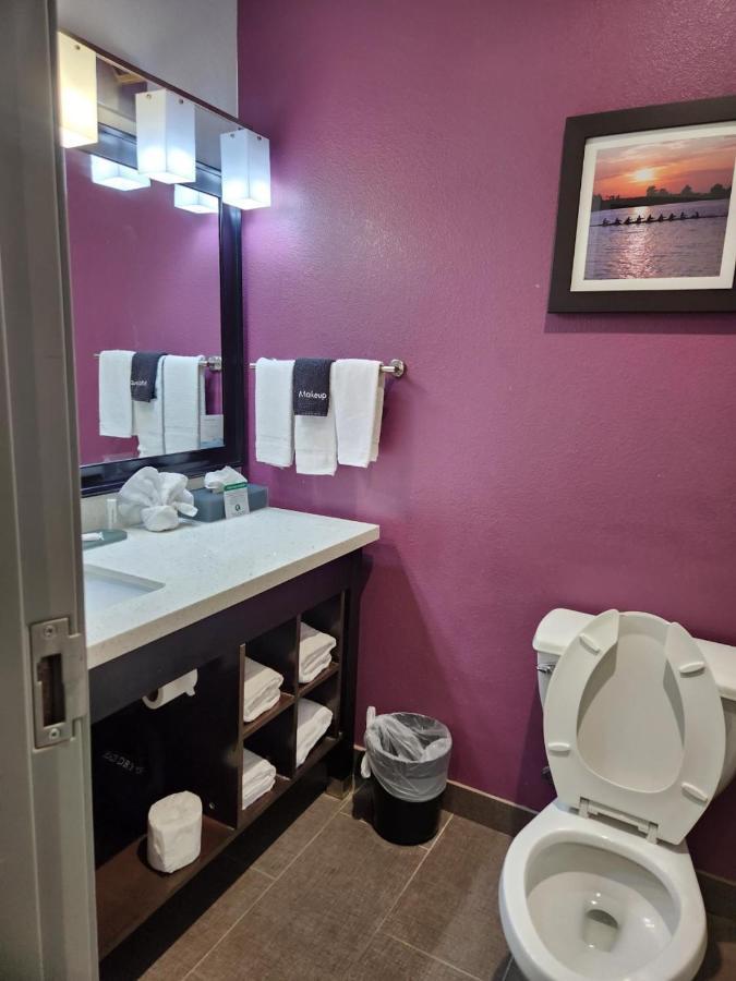 La Quinta By Wyndham Dallas Grand Prairie North Exterior foto